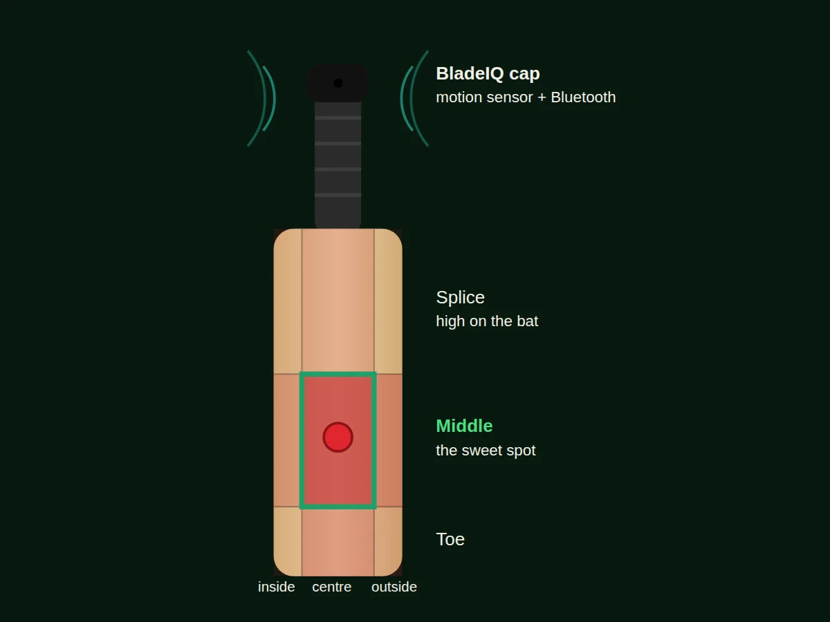 Diagram of a cricket bat with BladeIQ in a cap on the handle, and the blade split into impact zones